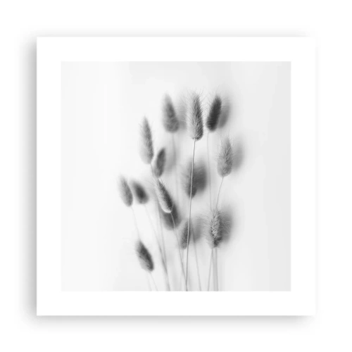 Plakat - Dens bløde græs - 40x40 cm