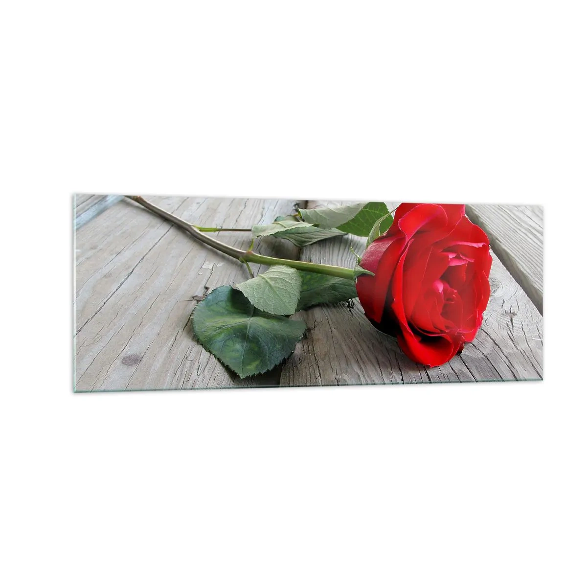 Billede på glas - Studie i skarlagenrødt - 140x50 cm