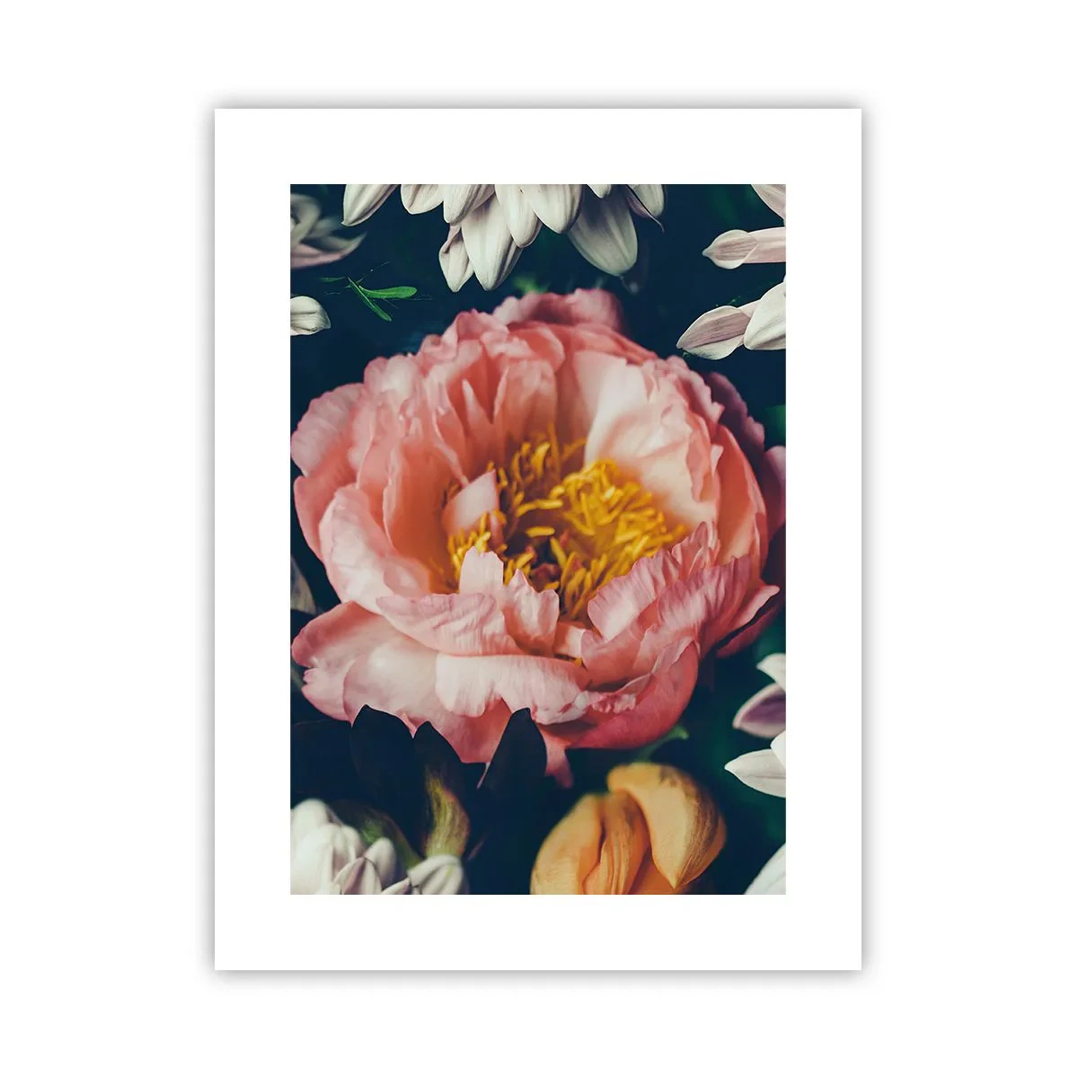 Plakat - Med barok pragt - 30x40 cm