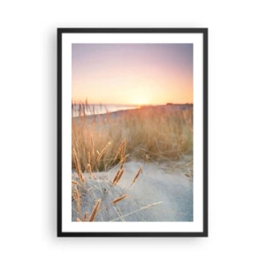 Plakat i sort ramme - Græsserne på klitterne oplyst af den nedgående sol - 50x70cm - Baltisk vuggevise - Moderne vægdekoration til stue og soveværelse ARTTOR