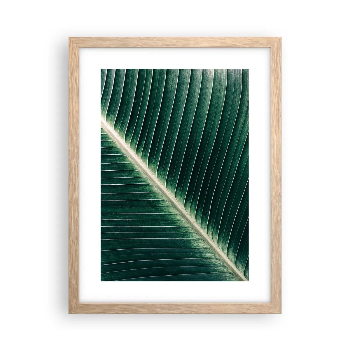 Plakat i ramme af lyst egetræ - Naturens rytme - 30x40 cm