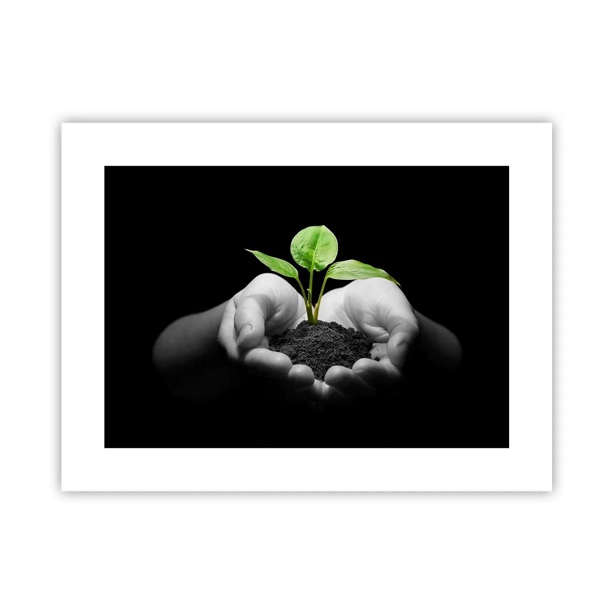 Plakat - Jeg elsker naturen, jeg beskytter den - 40x30 cm