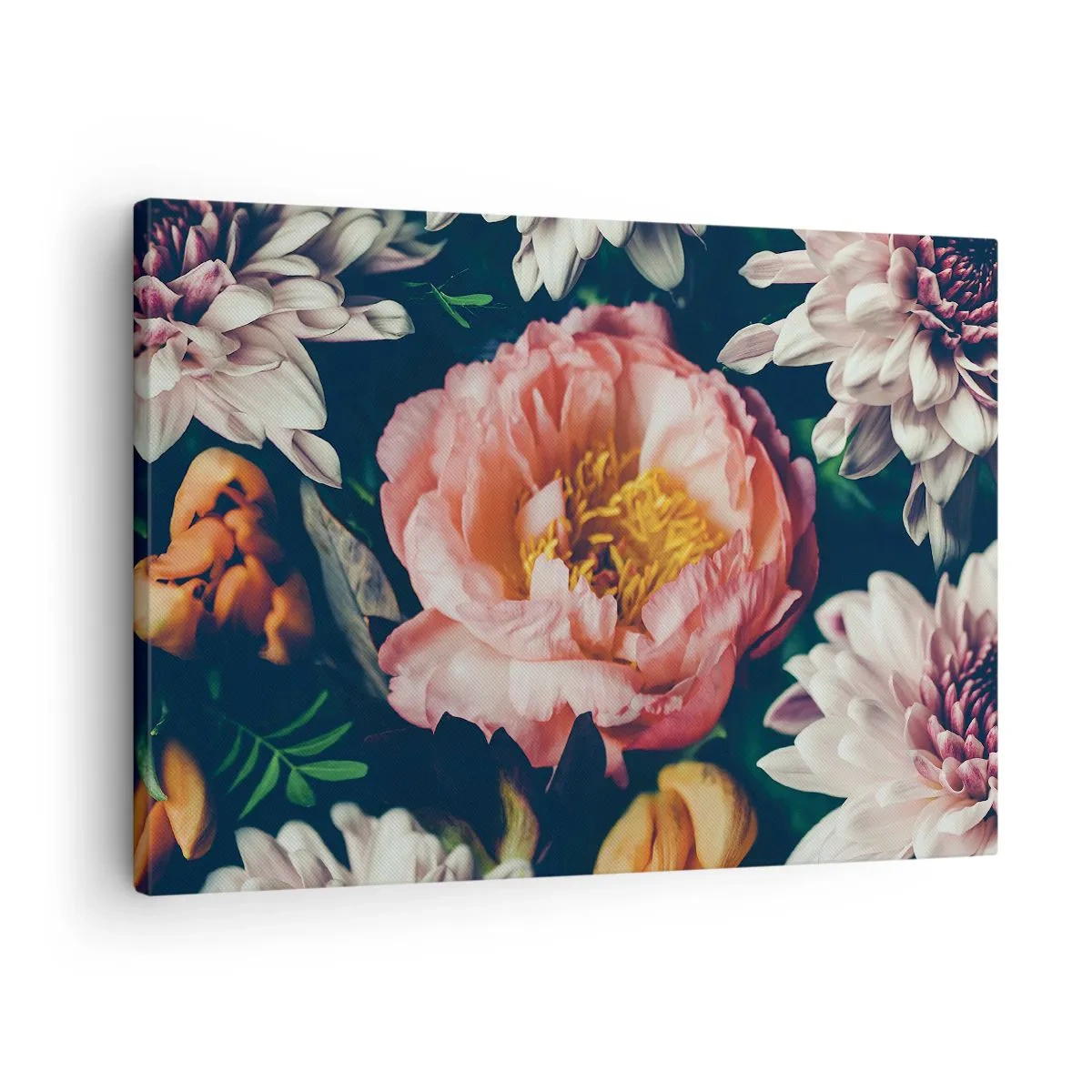 Lærredstryk - Billede på lærred - Blomsterarrangement med pæon og krysantemum på en mørk baggrund - 70x50cm - Med barok pragt - Moderne vægdekoration til stue og soveværelse ARTTOR