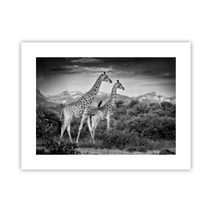 Plakat - Afrikas overklasse - 40x30 cm