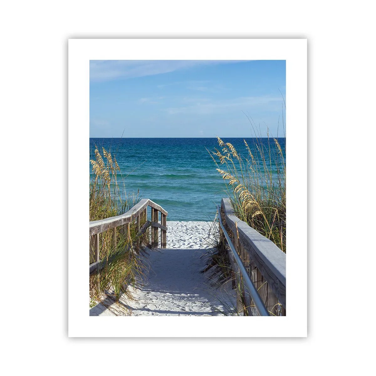 Plakat - I solen, i vinden - 40x50 cm