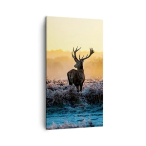 Lærredstryk - Billede på lærred - Kronet på sine godser - 45x80 cm