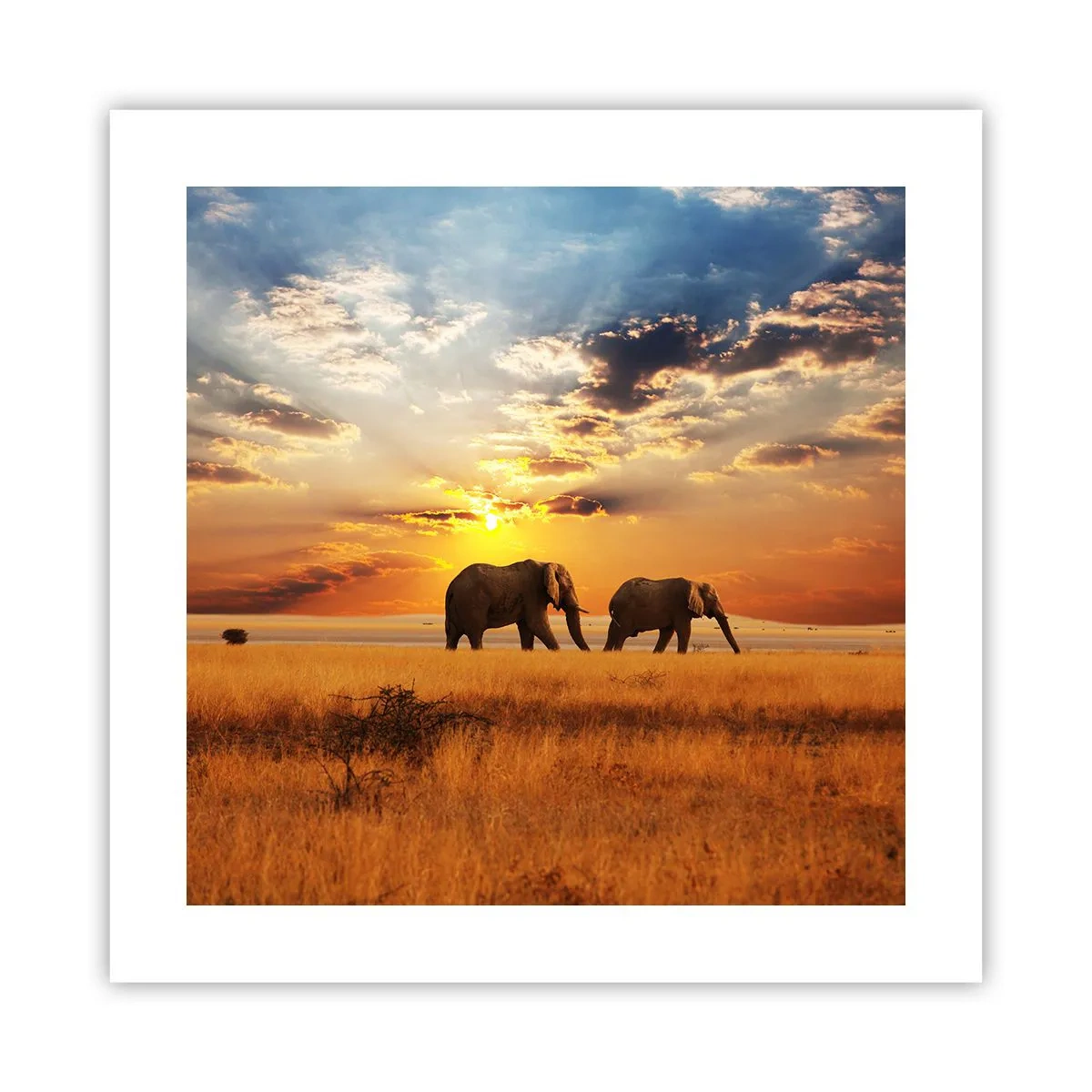 Plakat - Familievandring - 40x40 cm