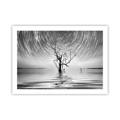 Plakat - En natursymfoni - 70x50 cm