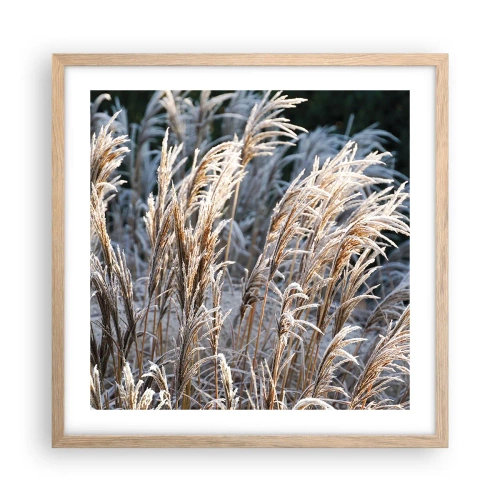 Plakat i ramme af lyst egetræ - Pyntet med frost - 50x50 cm