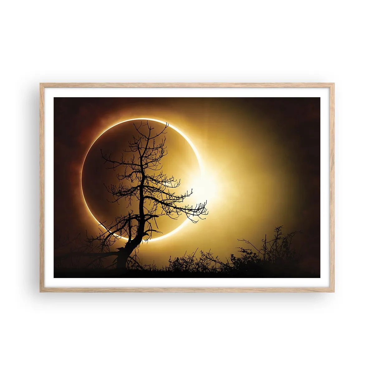 Plakat i ramme af lyst egetræ - Total formørkelse - 100x70 cm