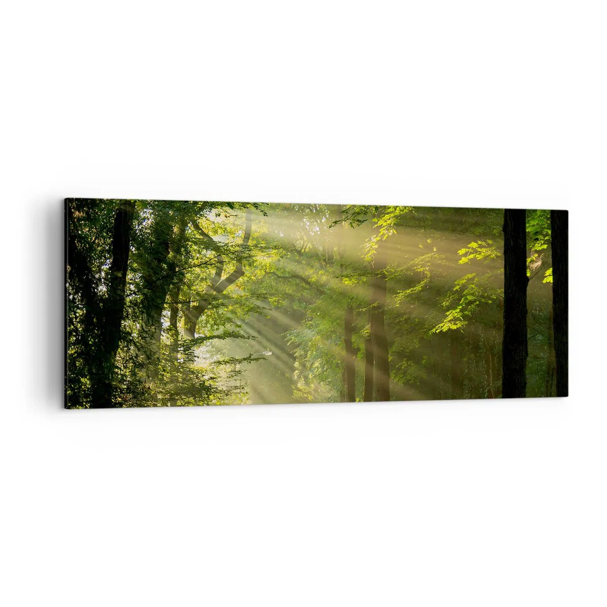 Lærredstryk - Billede på lærred - Øjeblik i skoven - 140x50 cm