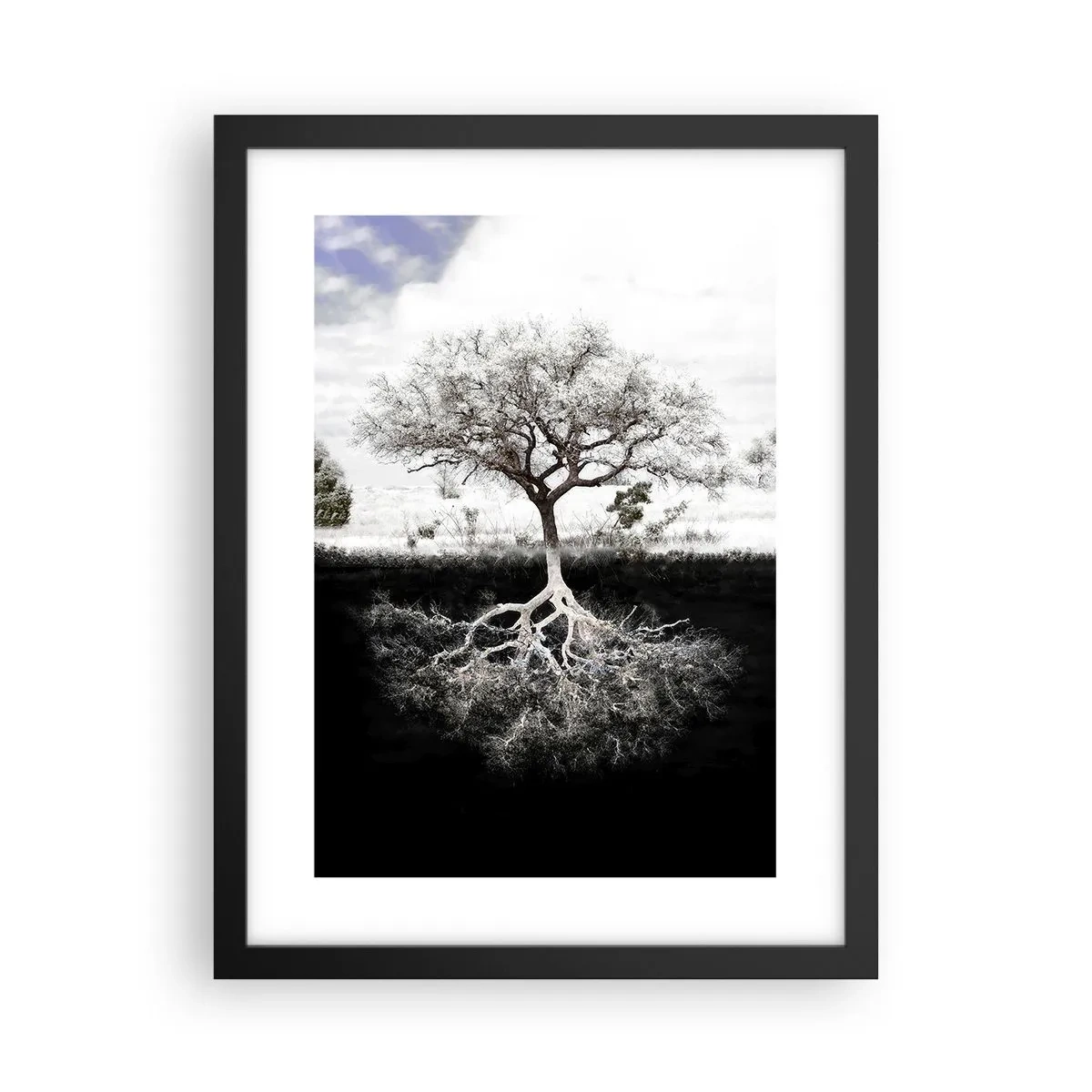 Plakat i sort ramme - Opdagelse af verdens natur - 30x40 cm