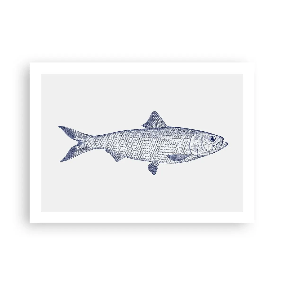 Plakat - Hilsner fra de nordlige have - 70x50 cm