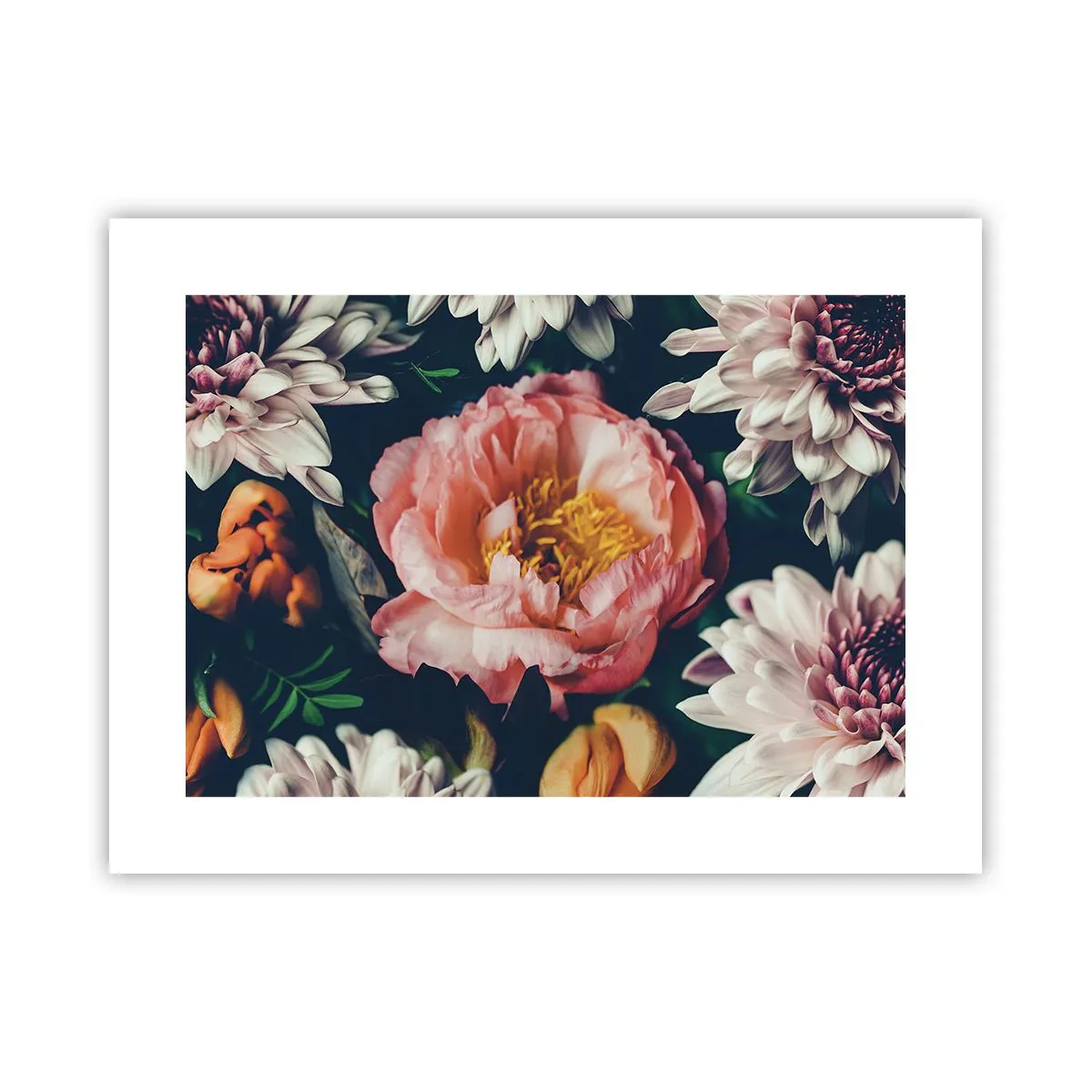 Plakat - Med barok pragt - 40x30 cm
