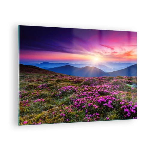 Billede på glas - Bjerglandskab med lyng ved solnedgang - 70x50cm - Urter duftede friske bundter fra niw - Moderne vægdekoration til stue og soveværelse ARTTOR