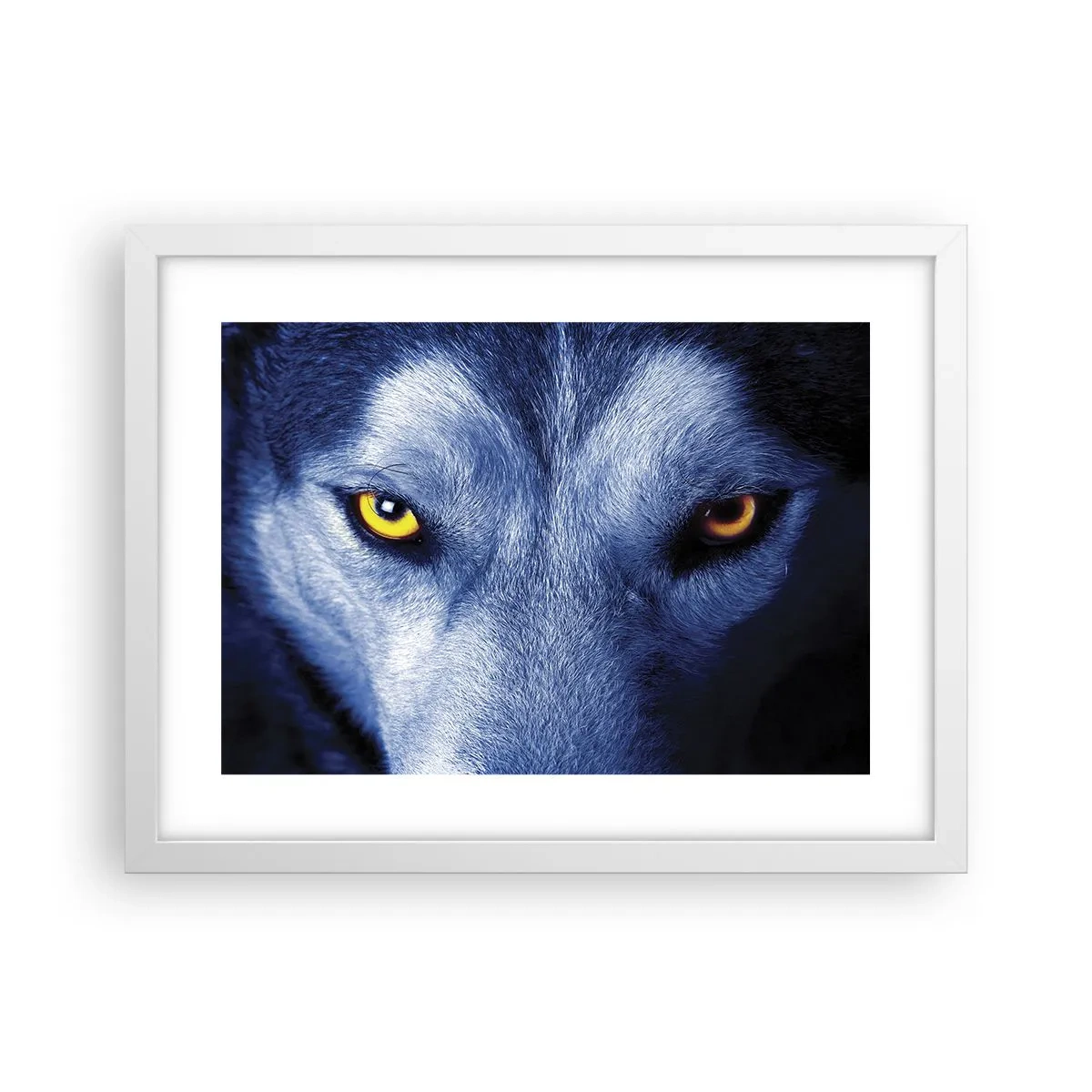 Plakat i hvid ramme - Et hypnotiserende udseende - 40x30 cm