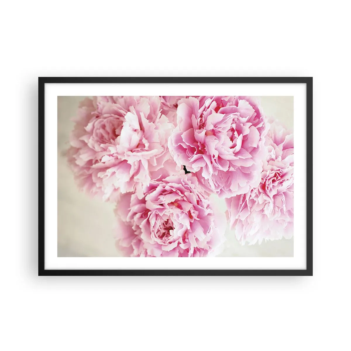 Plakat i sort ramme - I lyserød glamour - 70x50 cm
