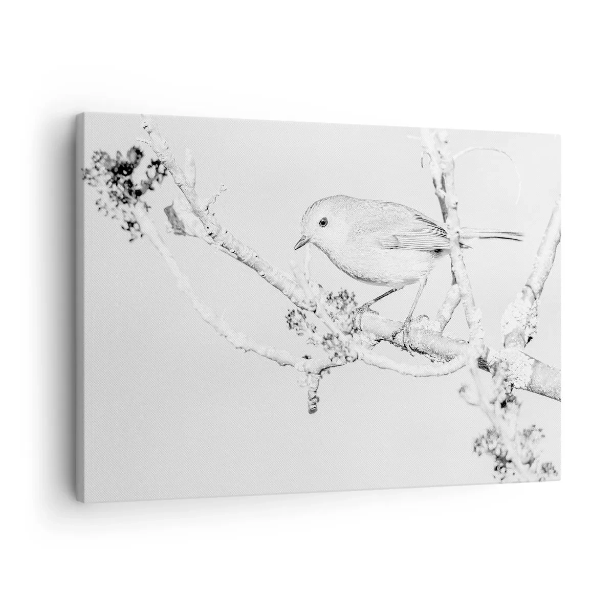 Lærredstryk - Billede på lærred - Fugl på en gren i sort-hvid med minimalistisk stil - 70x50cm - Vintermorgen - Moderne vægdekoration til stue og soveværelse ARTTOR