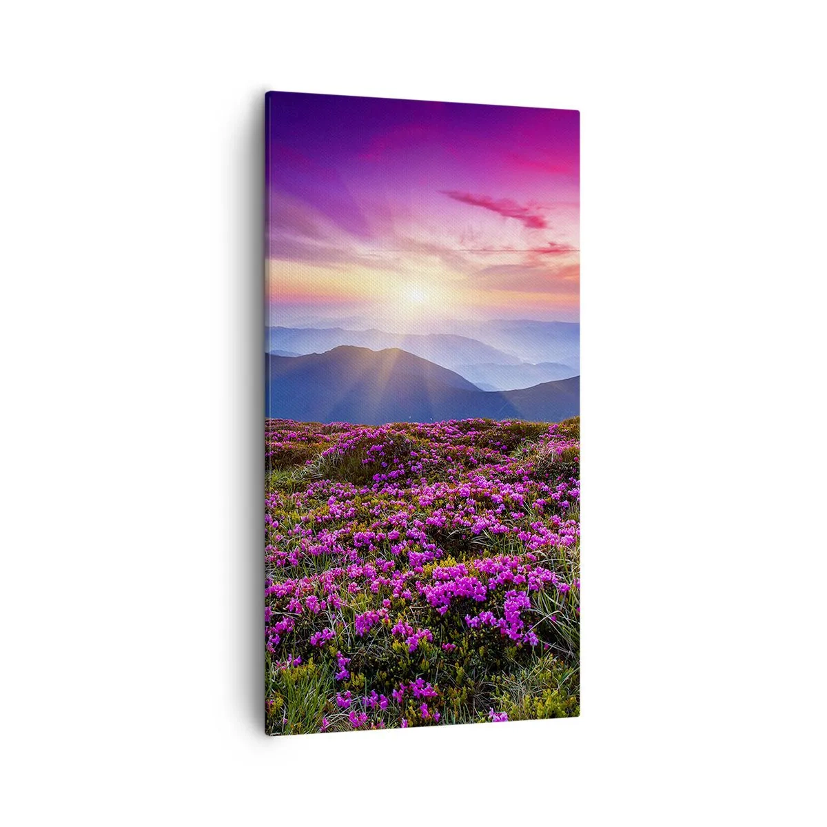 Lærredstryk - Billede på lærred - Urter duftede friske bundter fra niw - 55x100 cm