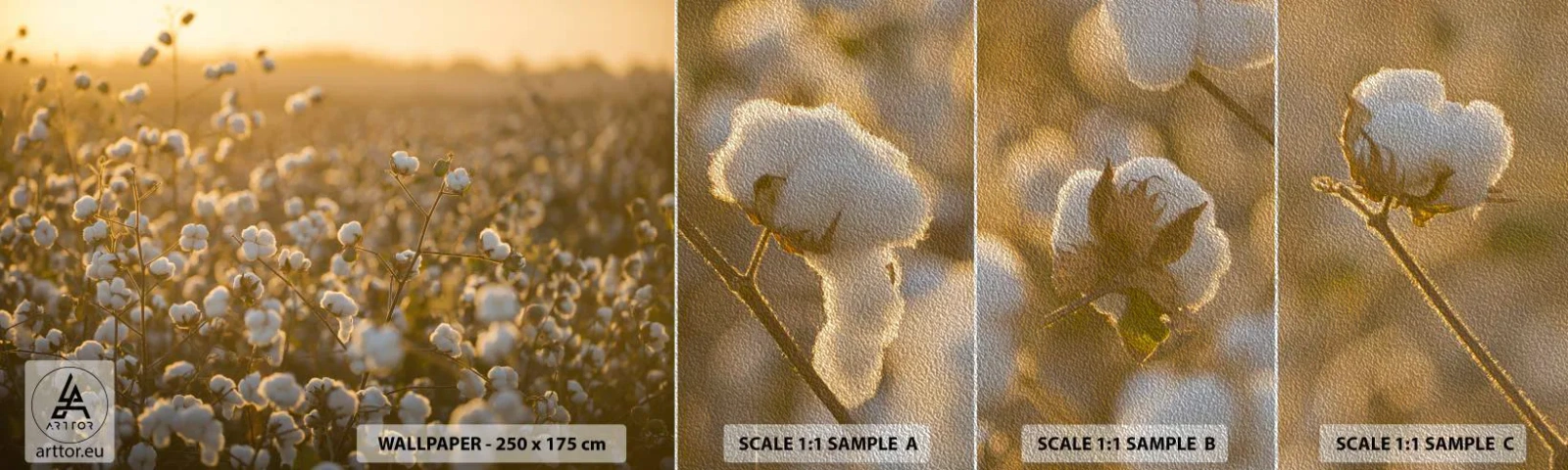 Prøve Fototapet Premium Sand - Et luftigt felt - Bomuldsmark, Asien, Natur - 100x30 cm