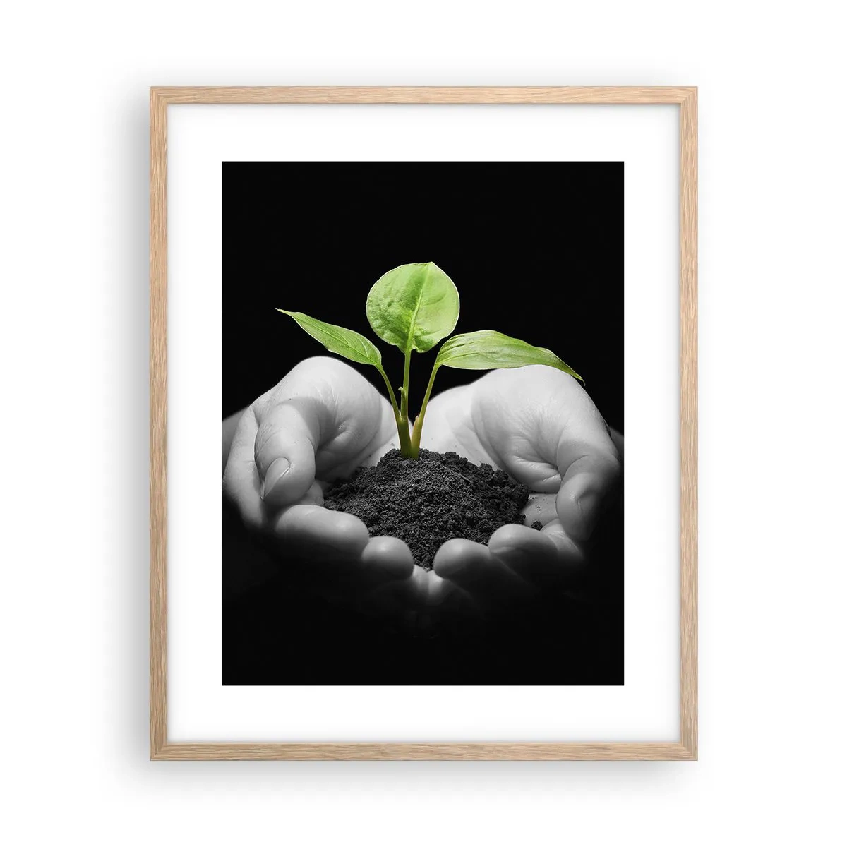 Plakat i ramme af lyst egetræ - Jeg elsker naturen, jeg beskytter den - 40x50 cm