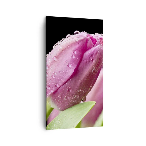Lærredstryk - Billede på lærred - En lilla drøm i duggen - 45x80 cm