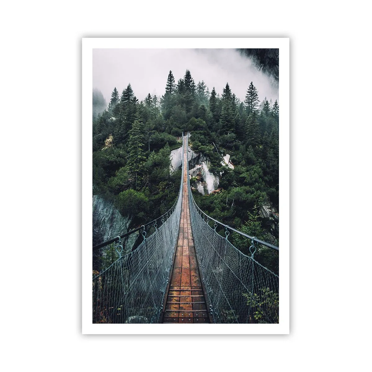 Plakat - Kun for ørne - 70x100 cm