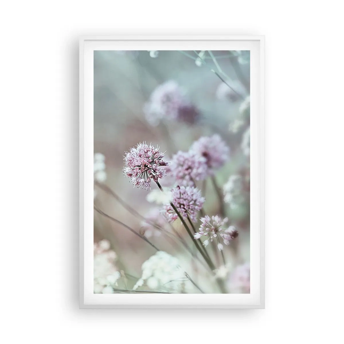 Plakat i hvid ramme - Søde filigranurter - 61x91 cm