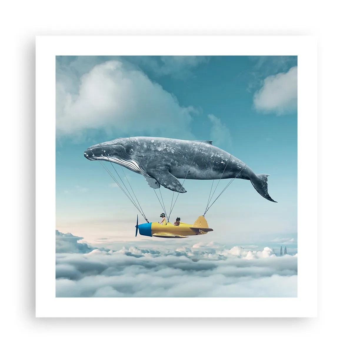 Plakat - Hvorfor ikke? - 50x50 cm