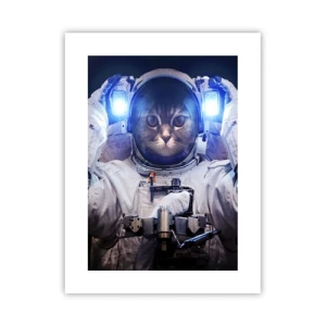 Plakat - Houston, I har et problem - 30x40 cm