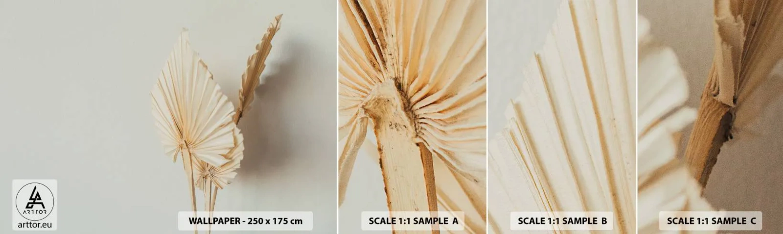 Fototapet Prøve Standard Eco - Når du har brug for trøst - Lyse, Minimalisme, Blad - 100x30 cm