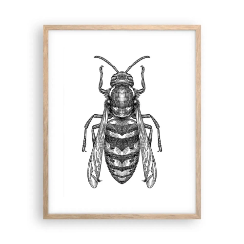 Plakat i ramme af lyst egetræ - Fra en insektplanet - 40x50 cm