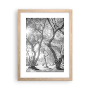 Plakat i ramme af lyst egetræ - I en olivenlund - 30x40 cm