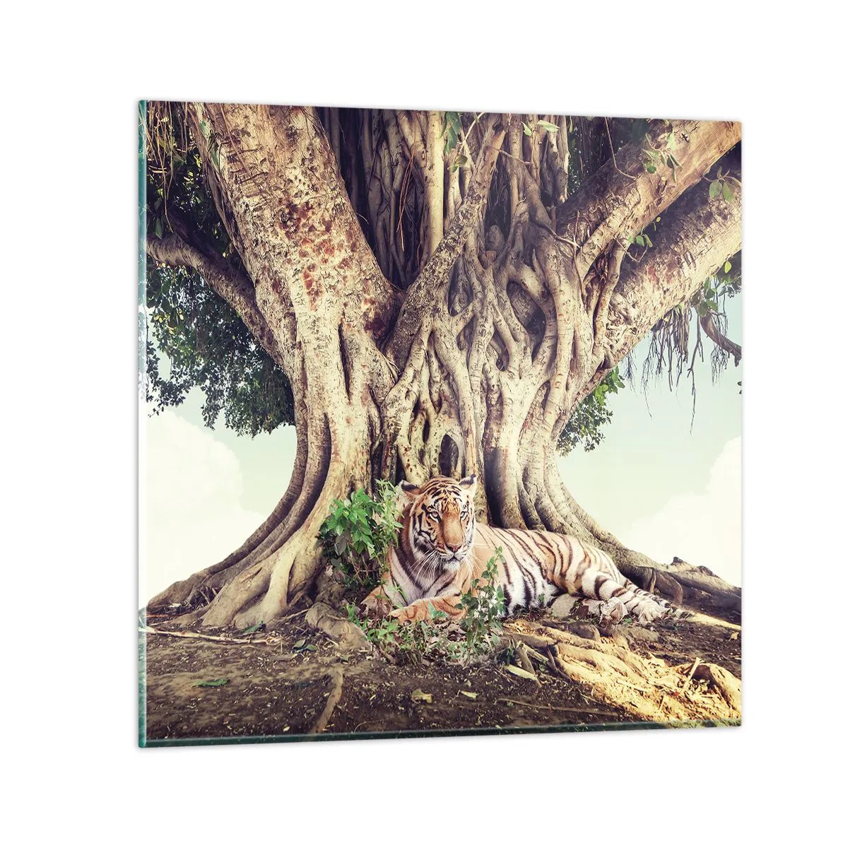 Billede på glas - Udsigt fra Første Mosebog - 50x50 cm