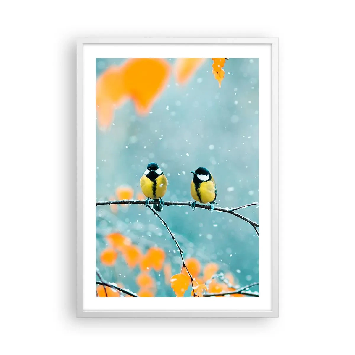 Plakat i hvid ramme - Sladder om fugle - 50x70 cm
