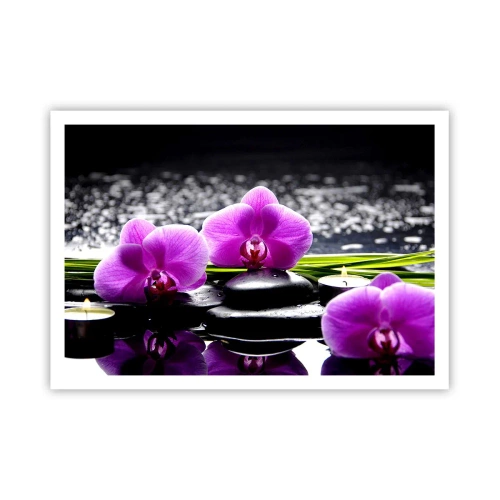 Plakat - Drukne i fred og ro - 100x70 cm