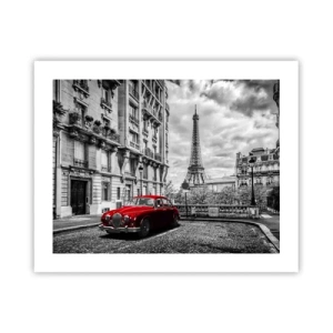 Plakat - Rovdyr i byen - 50x40 cm