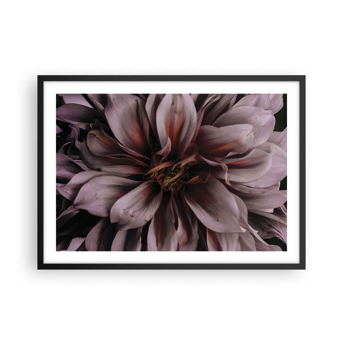 Plakat i sort ramme - Blomstret hjerte - 70x50 cm