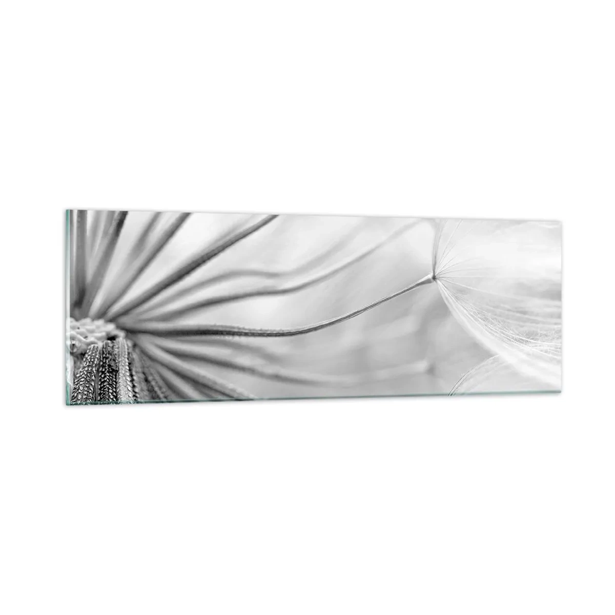 Billede på glas - Blæsende drager - 90x30 cm