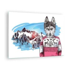 Billede på glas - Husky i en sweater med bjerge i baggrunden - 70x50cm - Ulv i fåreuld - Moderne vægdekoration til stue og soveværelse ARTTOR