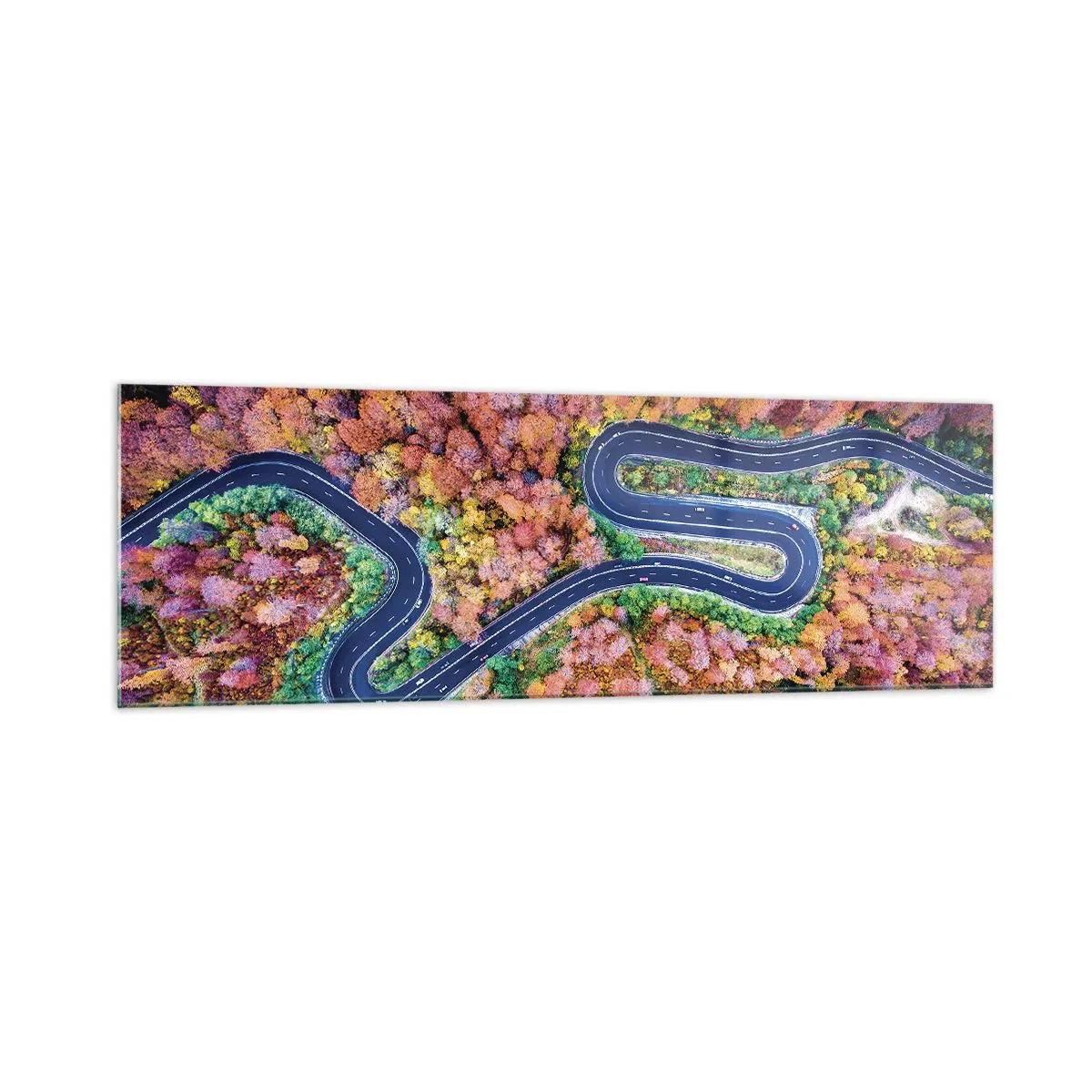 Billede på glas - En snoet vej gennem skoven - 160x50 cm