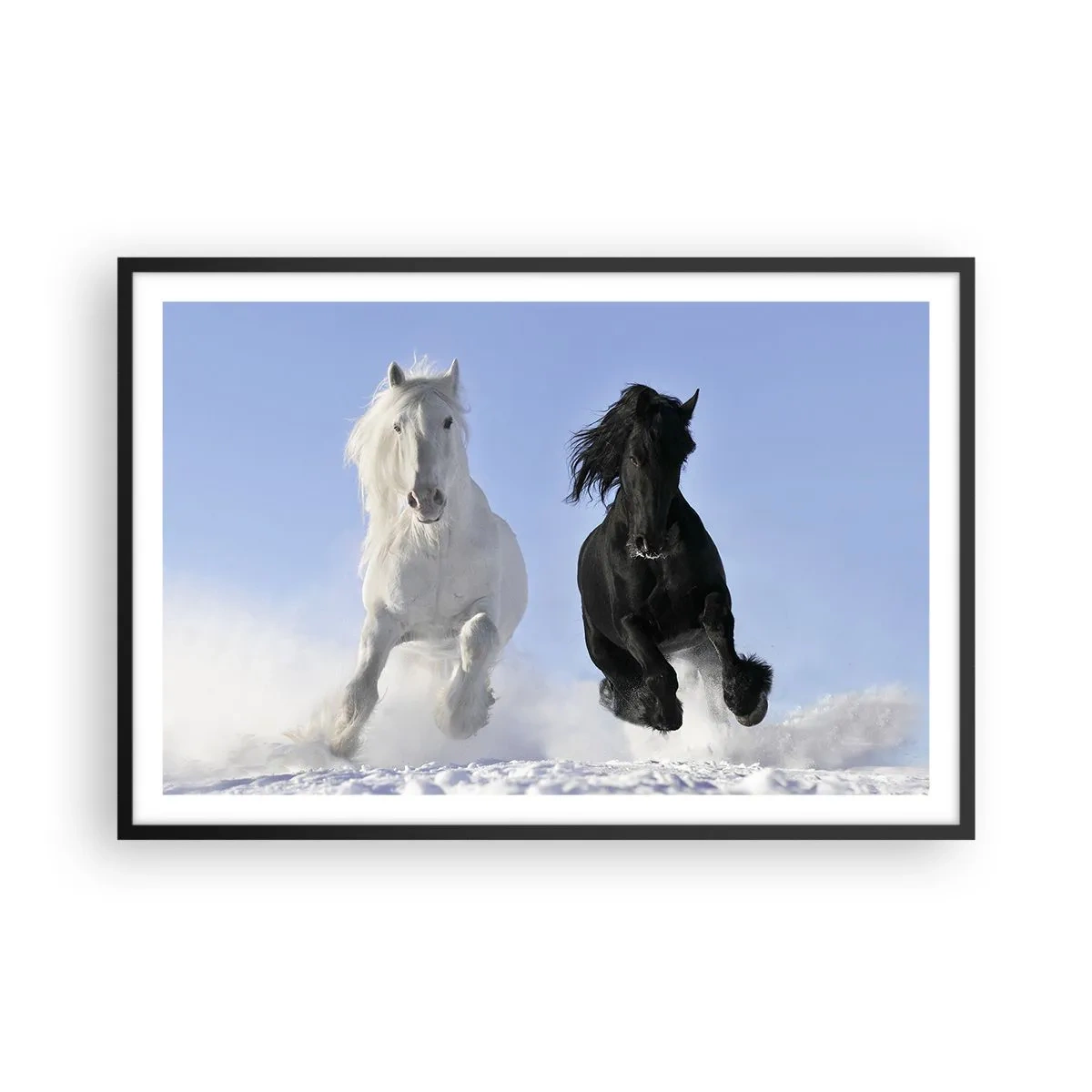 Plakat i sort ramme - Sort og hvid galop - 91x61 cm