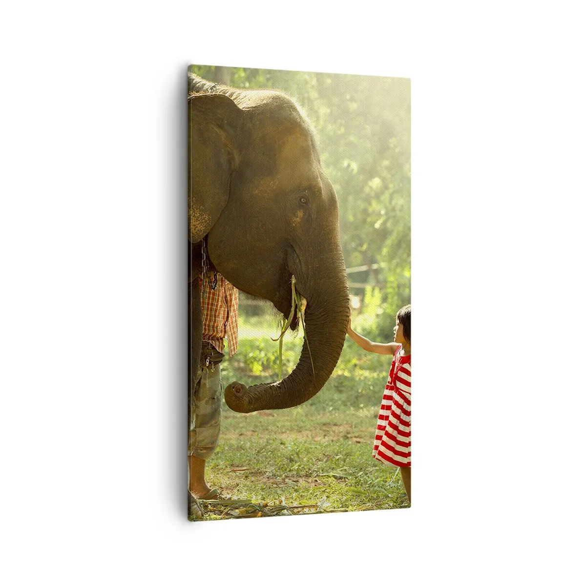 Lærredstryk - Billede på lærred - Venskabets kraft - 55x100 cm