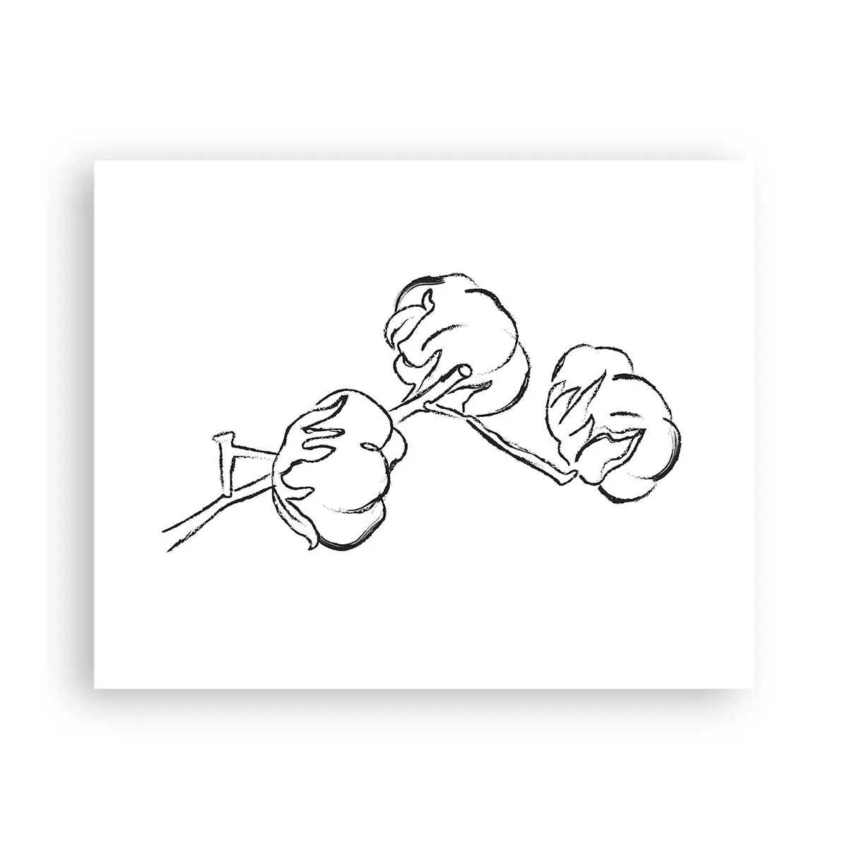 Plakat - Bomuld ned - 50x40 cm