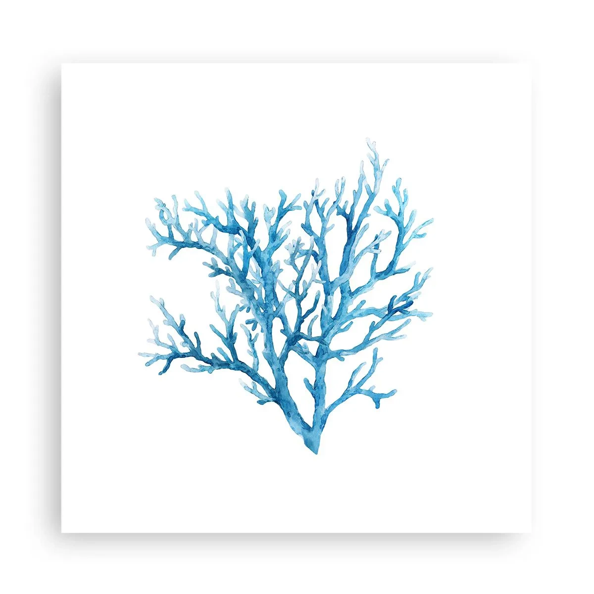 Plakat - Marint filigran - 30x30 cm