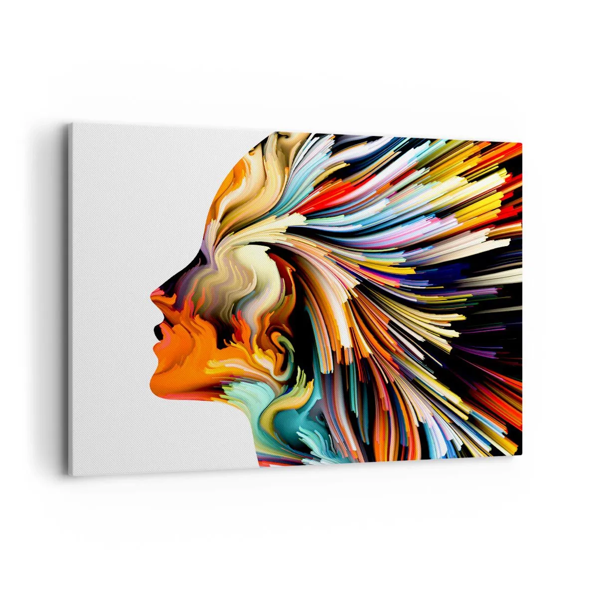 Lærredstryk - Billede på lærred - En eksplosion af fantasi - 120x80 cm