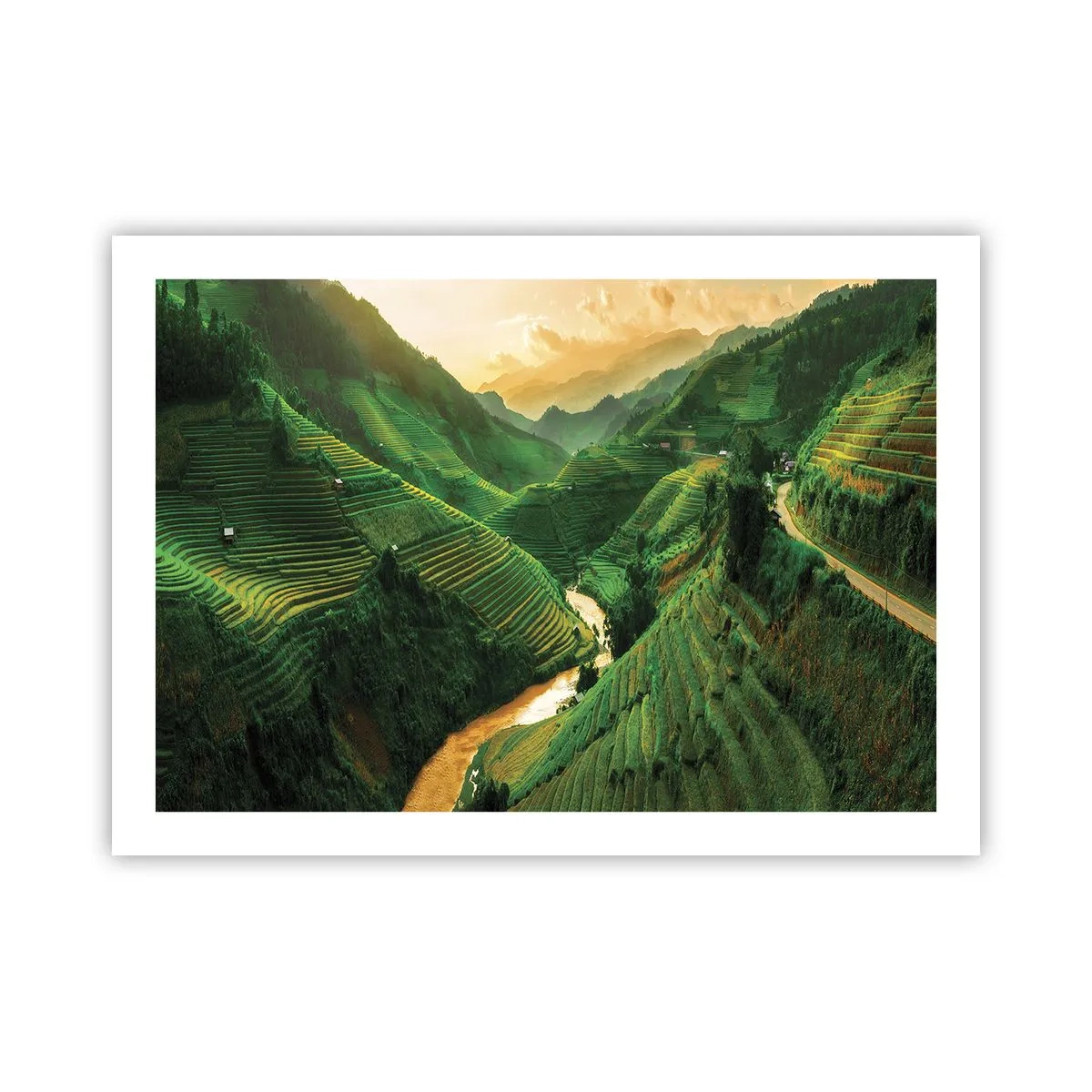 Plakat - Vietnamesisk dal - 70x50 cm