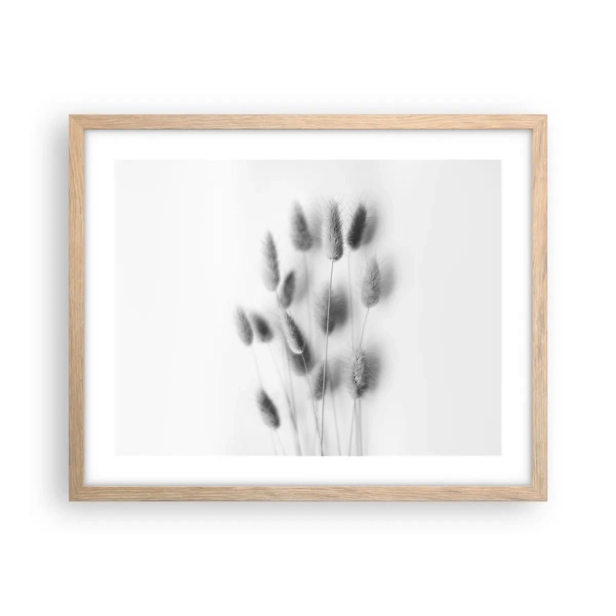 Plakat i ramme af lyst egetræ - Dens bløde græs - 50x40 cm