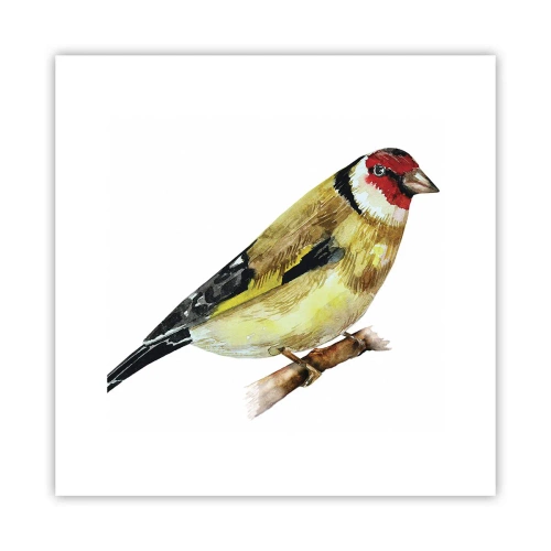 Plakat - Portræt af en fugl - 30x30 cm