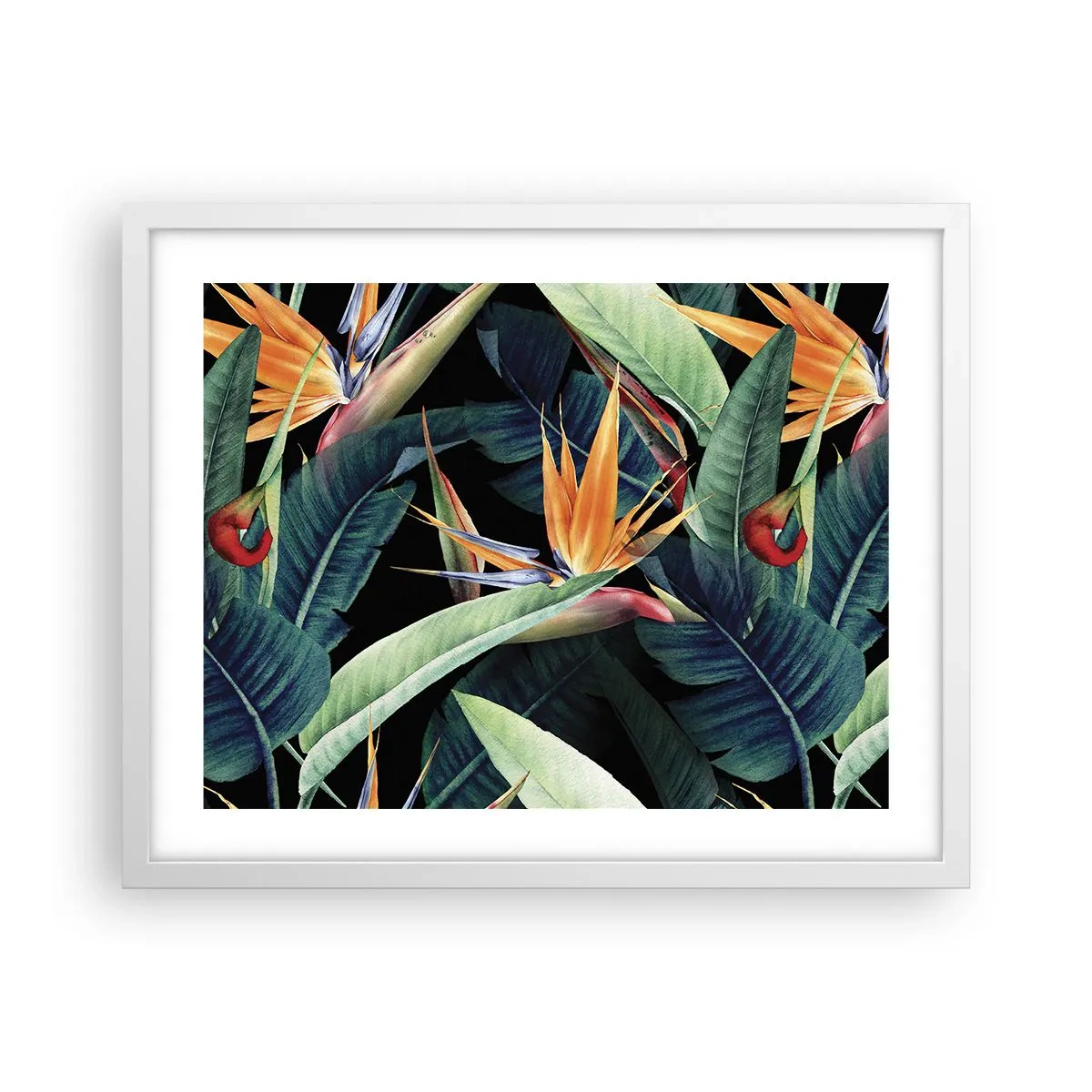Plakat i hvid ramme - Flammeblomster i troperne - 50x40 cm